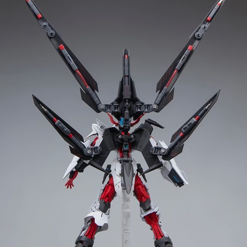 HG 1/144 Astray No-Name Astray - Model Kit Gundam Mg review and price