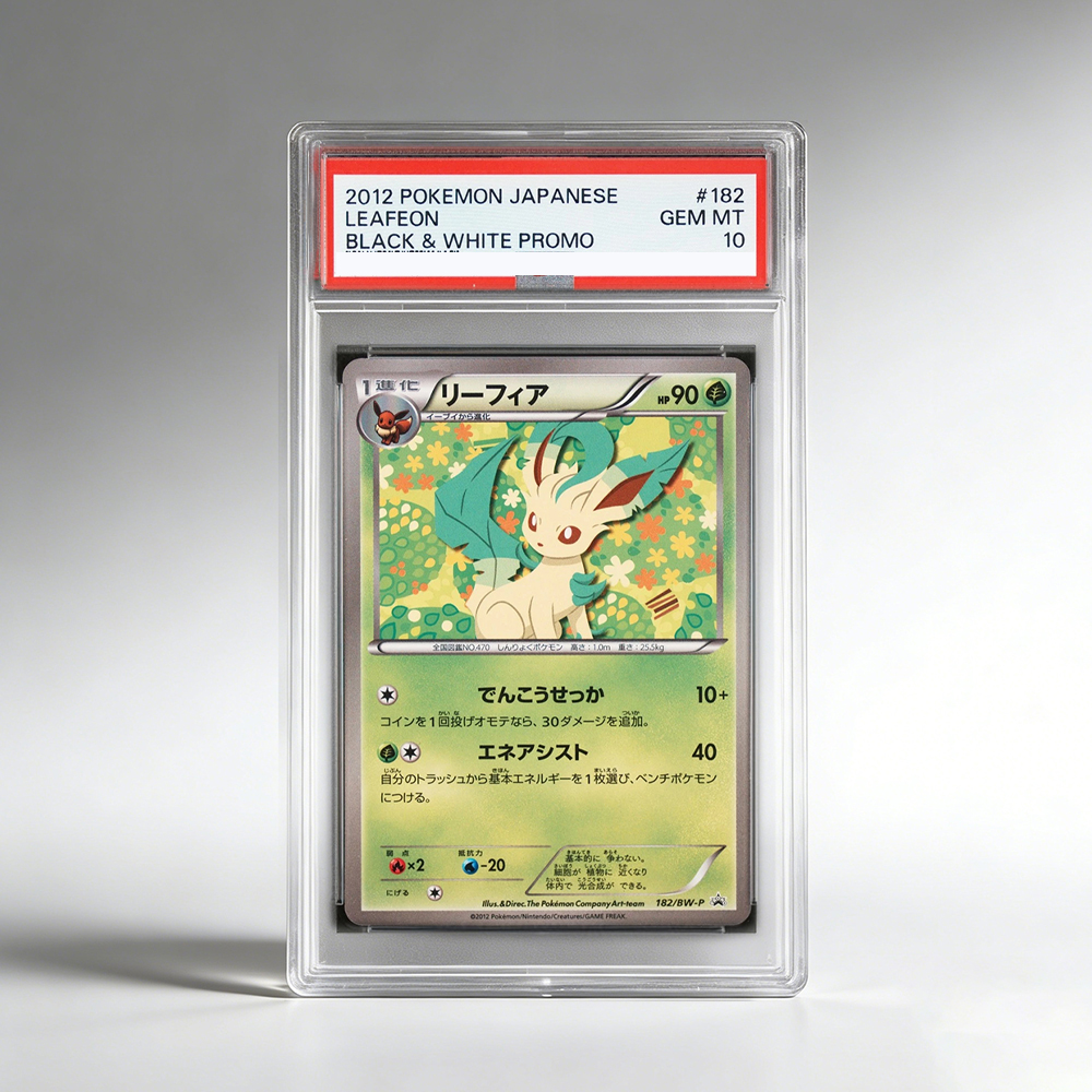 DIY Self-made Anime PTCG CHARI - Model Kit Japanese review and price