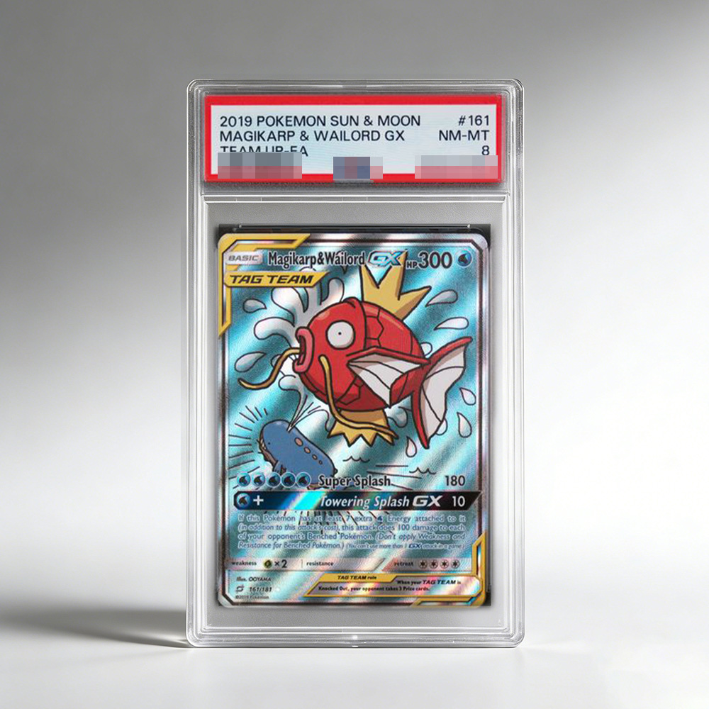 DIY PTCG Rating Collection Car - Model Kit Anime review and price