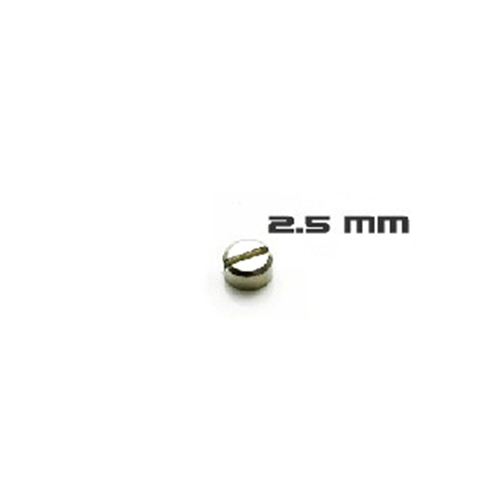 30pcs Armored Screws Model Sup - Model Kit Gundam Mg review and price